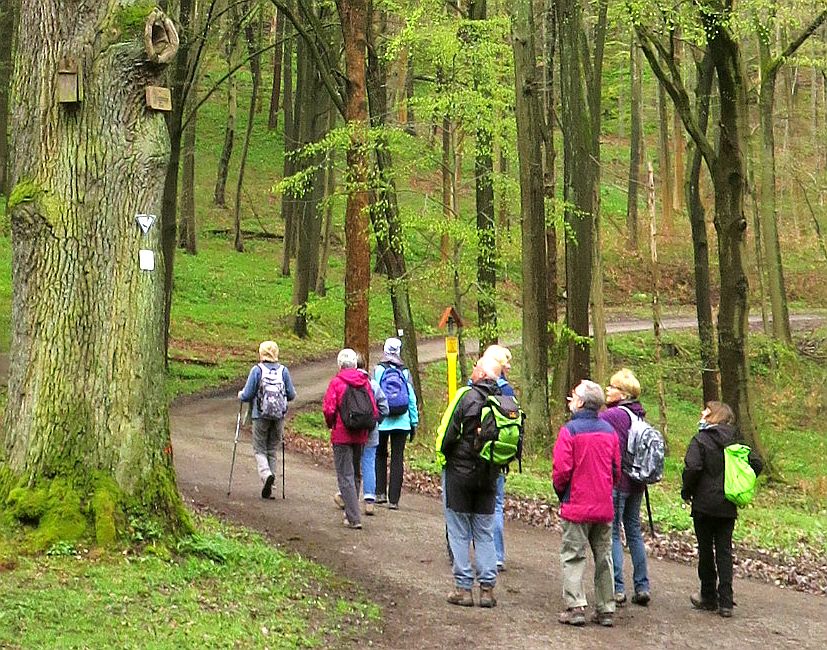  Auf den Wanderungen werden wunderschöne Mittelgebirgslandschaften erkundet